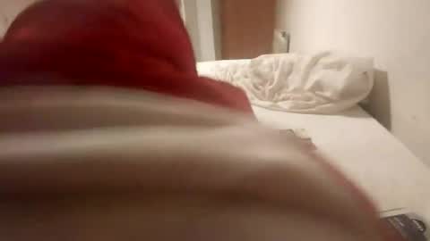 Pollonreus online show from June 28, 4:40 am