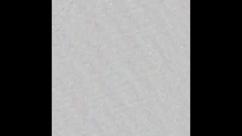 Polly online show from October 16, 7:53 am