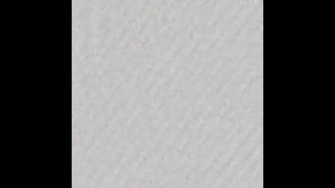 Polly online show from February 4, 6:41 am