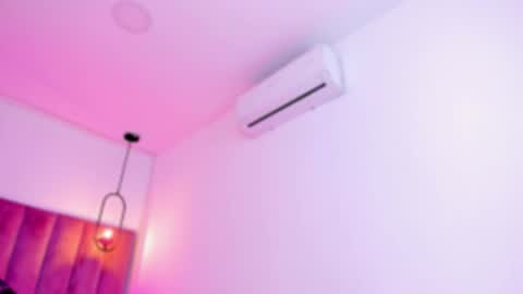 POLLY online show from March 7, 10:12 am