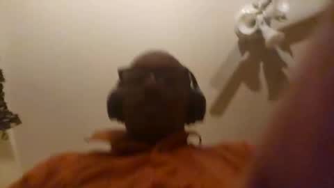 Snapshot of poobear53 chatting on April 8, 7:19 am Phil online show from April 8, 7:19 am