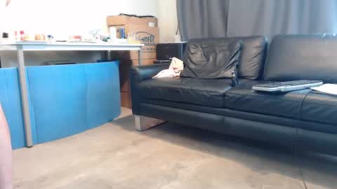 porncock79 online show from July 26, 10:44 am
