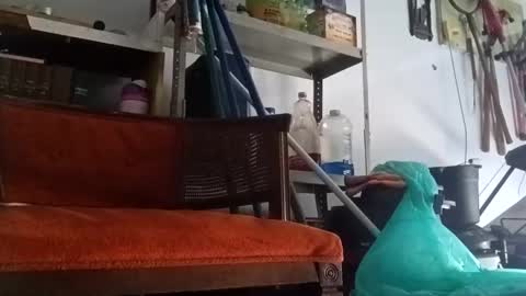 Snapshot of poundgame0710 chatting on September 14, 4:50 pm PipeLayerPlayer007 online show from September 14, 4:50 pm