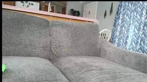 Snapshot of powerstroke345 chatting on March 7, 4:15 pm powerstroke345 online show from March 7, 4:15 pm