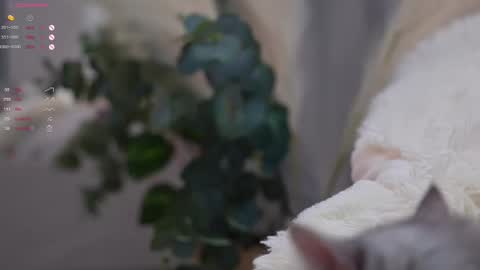 Elina online show from March 11, 7:03 pm