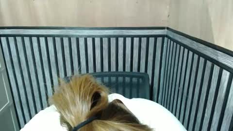 Snapshot of prettykate_04 chatting on October 8, 7:00 pm Kate online show from October 8, 7:00 pm