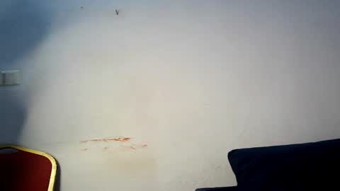 evelyn online show from March 1, 6:04 am