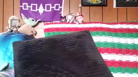 prettysolidd7 online show from January 4, 2:35 pm