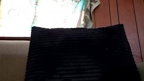 prettysolidd7 online show from February 15, 12:54 pm