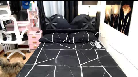 Shane online show from October 13, 8:53 pm