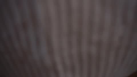 Snapshot of princessasiana chatting on February 9, 11:14 am Assi Incognito girl online show from February 9, 11:14 am