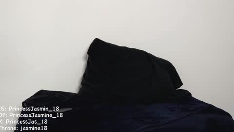 Snapshot of princessjasmine_18 chatting on February 11, 2:13 pm Jasmine online show from February 11, 2:13 pm