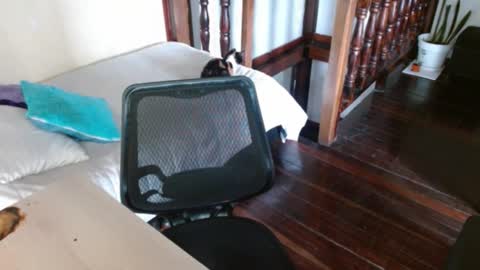 prismm_ online show from September 14, 1:21 pm