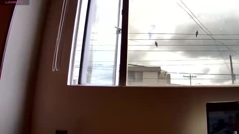 Snapshot of probardetodo chatting on December 3, 2:15 pm Probardetodo independent model online show from December 3, 2:15 pm