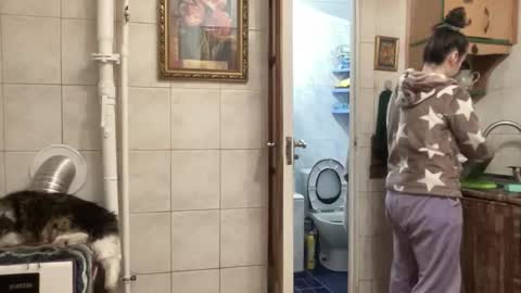 proud sweet 21 online show from February 1, 11:47 pm