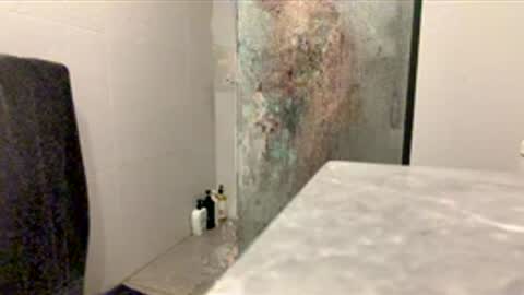 puffiest online show from February 5, 8:08 am