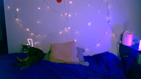 Snapshot of pufpufog chatting on January 24, 5:53 pm EsteticHouse online show from January 24, 5:53 pm