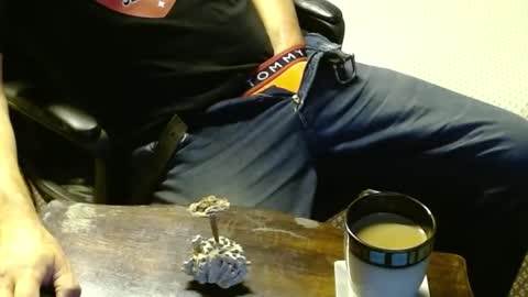 Snapshot of punkypapi chatting on October 12, 12:31 am Jojo online show from October 12, 12:31 am