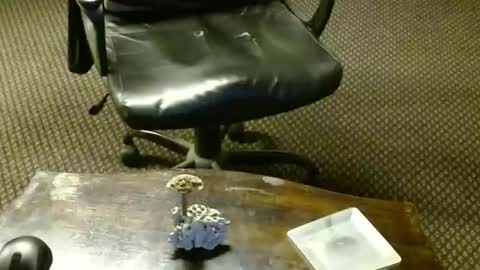 Snapshot of punkypapi chatting on October 16, 9:27 pm Jojo online show from October 16, 9:27 pm