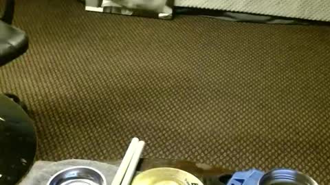 Snapshot of punkypapi chatting on November 23, 6:46 am Jojo online show from November 23, 6:46 am