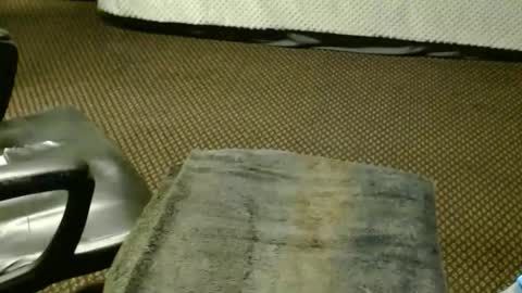 Snapshot of punkypapi chatting on November 25, 8:42 pm Jojo online show from November 25, 8:42 pm