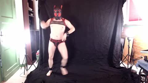 Pup Jake wants to play online show from March 8, 1:03 pm