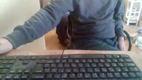 pup_y online show from November 24, 10:15 am