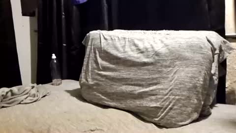 pupdoom9522 online show from June 15, 8:49 am