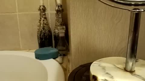 purecharismacpl online show from February 20, 10:21 pm