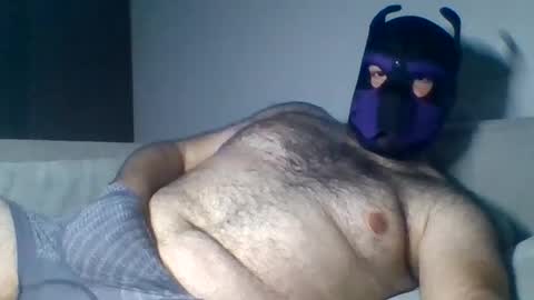 purple_pup_bear online show from August 6, 9:39 pm