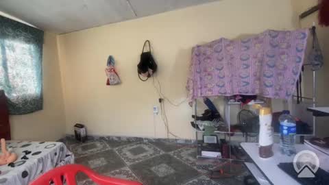 Snapshot of putiputisexo chatting on May 9, 9:31 pm putinaicolls online show from May 9, 9:31 pm