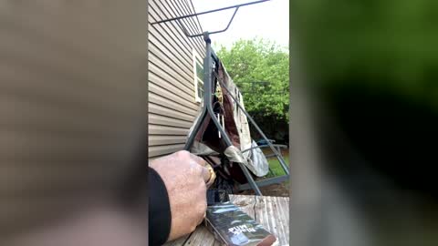 pyrex8 online show from April 5, 11:24 pm