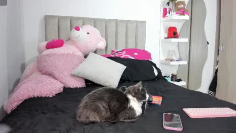Snapshot of queen_antonella_oficial chatting on June 8, 8:04 am QUEEN ANTONELLA online show from June 8, 8:04 am
