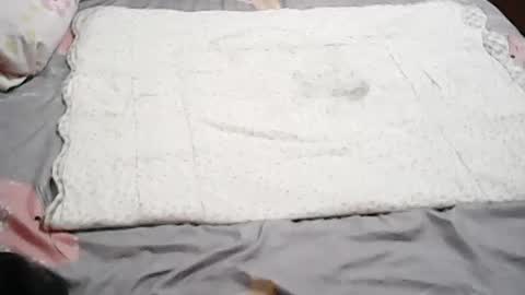 queen_ava05 online show from July 1, 12:18 pm