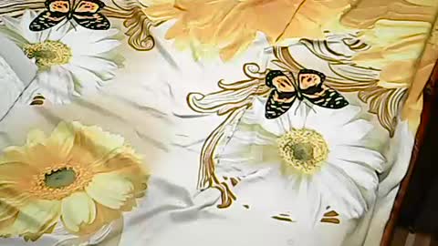 queen_ava05 online show from July 2, 7:20 pm