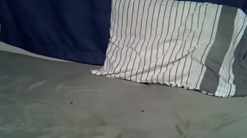 queen_polite online show from February 22, 8:02 am