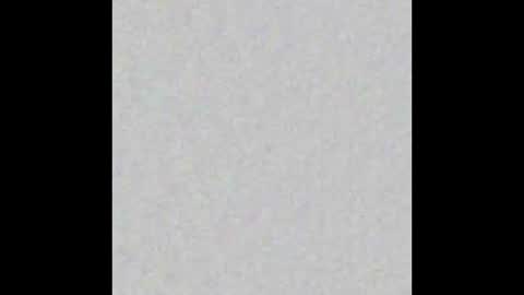 Snapshot of queenfox4u chatting on December 2, 8:08 am LadyAlpa online show from December 2, 8:08 am