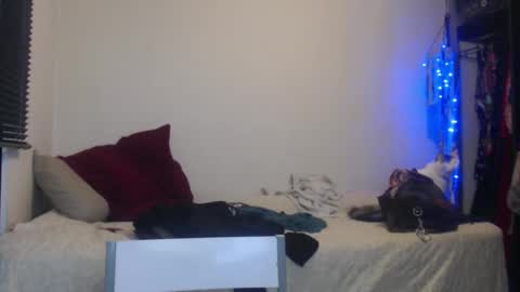 Snapshot of queennicky88 chatting on January 5, 12:52 am Nico online show from January 5, 12:52 am