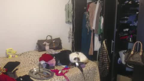 Snapshot of queennicky88 chatting on February 13, 4:00 am Nico online show from February 13, 4:00 am