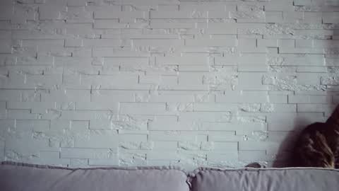 QueenOfModels online show from November 17, 6:08 am