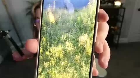 Snapshot of quervoqueen1 chatting on November 17, 3:34 am Bri online show from November 17, 3:34 am