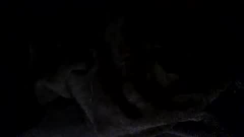 quincy joy11 online show from March 2, 7:15 am