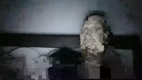 Snapshot of qwezxcqweasdzxc chatting on October 23, 2:44 am qwezxcqweasdzxc online show from October 23, 2:44 am