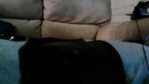 Bi daddy online show from December 10, 6:28 pm