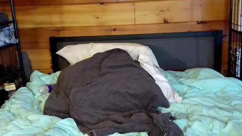 Snapshot of rachelxprice chatting on March 2, 2:00 pm Rachel Price online show from March 2, 2:00 pm