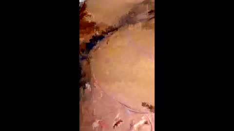 rafagomez102002 online show from January 18, 2:48 am