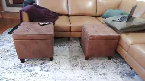 DressSock Shoe online show from February 7, 2:59 am