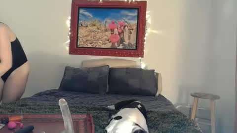    RAMONA Q   online show from April 14, 8:42 am