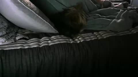 Randy8inbater online show from January 12, 2:52 pm