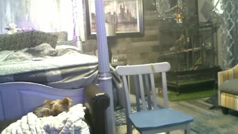 Snapshot of randybater8in chatting on June 15, 2:03 am Randy8inbater online show from June 15, 2:03 am